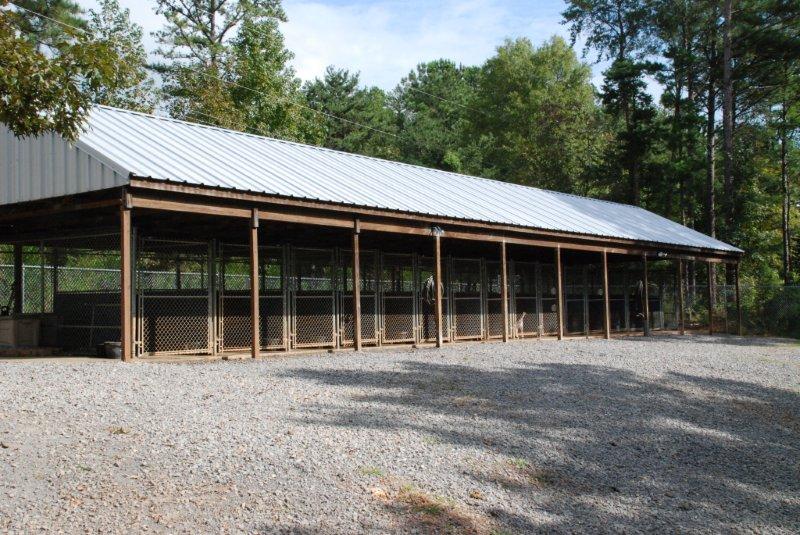 Good Dog! Training & Kennels